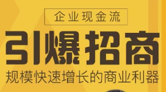 王昕企业引爆招商导师？