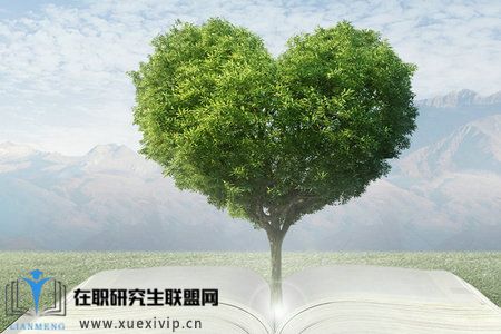 荷兰商学院DBA课程