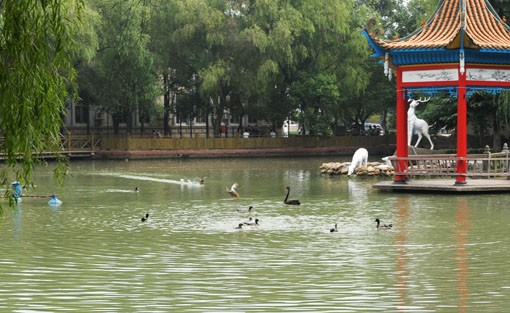 江西师范大学湖泊一角