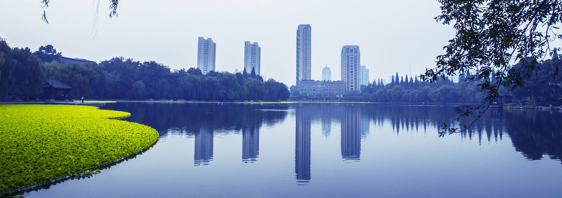 浙江大学湖泊一角