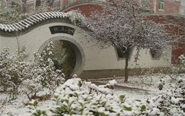 北京语言大学冬景