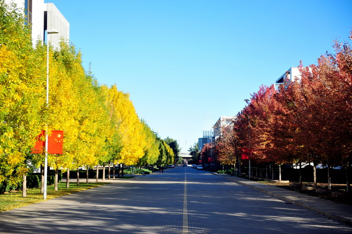 天津财经大学街道