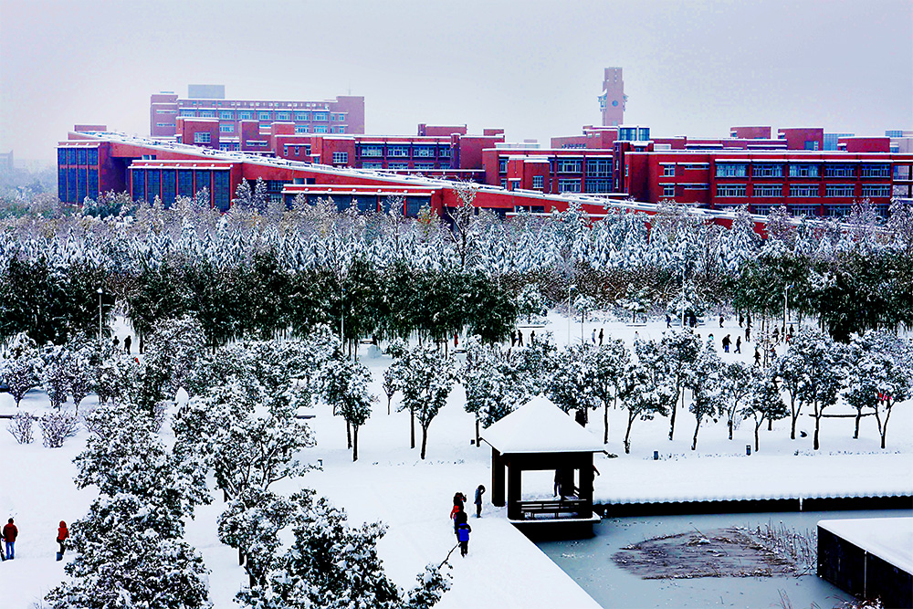 郑州大学校园雪景