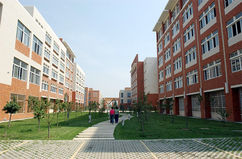 郑州大学楼间小径