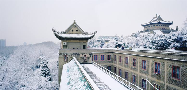 武汉大学雪景