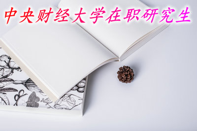 中央财经大学在职研究生
