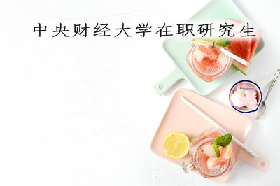 中央财经大学在职研究生
