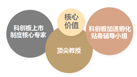 同济大学科创企业上市与投融资高级研修班