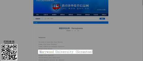 玛丽伍德大学哪个课程好