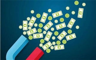 广东金融投资课程