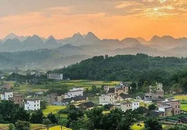 广东省乡村振兴培训班特色是什么