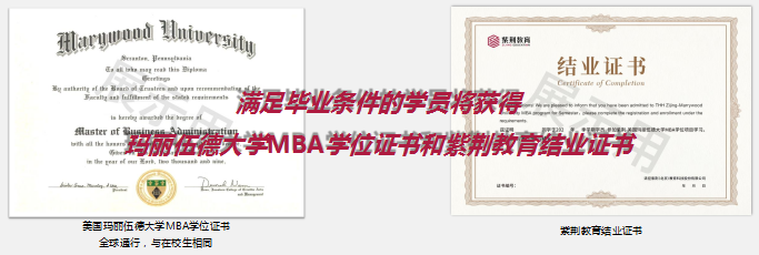 美国玛丽伍德大学相当于中国的什么大学