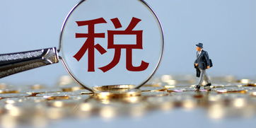 老板财税培训班靠谱吗