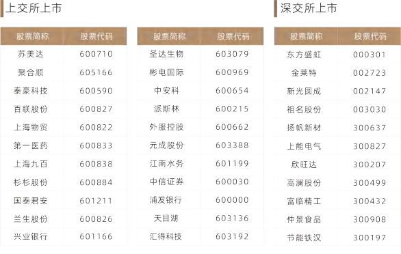 企业上市与董事会秘书实务课程