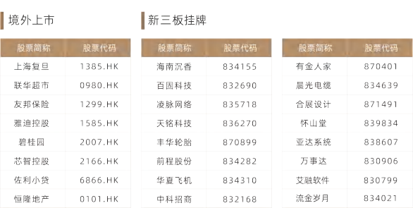 企业上市与董事会秘书实务课程