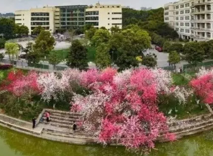 2023年三峡大学考研同等学力