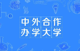 中国矿业大学中外合作办学怎么样？