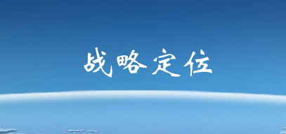 《九州定位咨询公司2024》