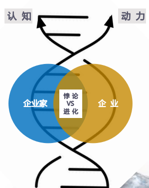 华营私教坊