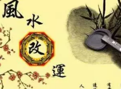 玖舍文化易经：2024年，开启智慧之旅