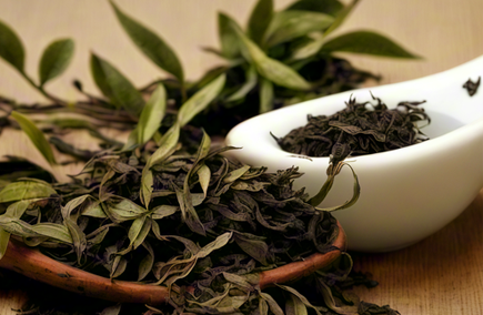 茶学高级研修班招生要求