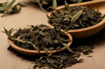 茶产业研修介绍