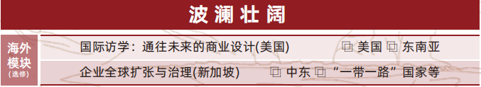 北京大学中国企业全球化与品牌出海实践项目研修班