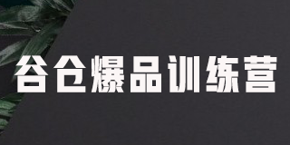 谷仓新国货加速营怎么样？