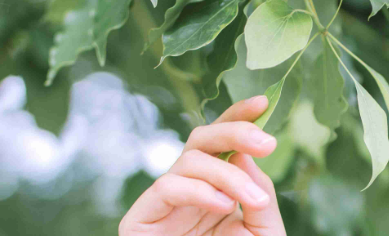 清大环艺设计培训机构口碑咋样？