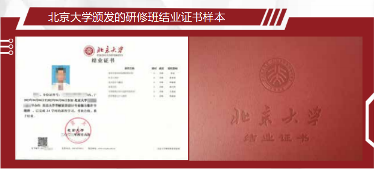 北京大学人工智能·AI研修班