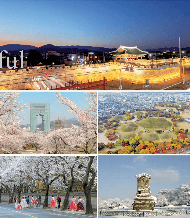 韩国东国大学本硕招生简章