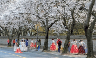 2024年韩国东国大学设计专业有吗？