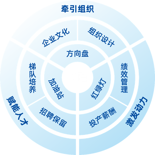 王秀梅《组织罗盘》课程