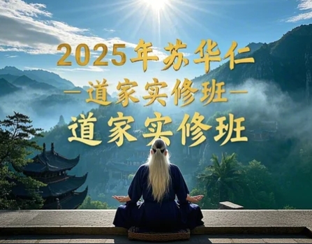 2025年苏华仁道长的功法