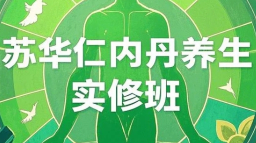 2025年内丹养生培训有哪些课程？
