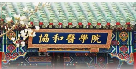 2025年北京协和医学院什么课程