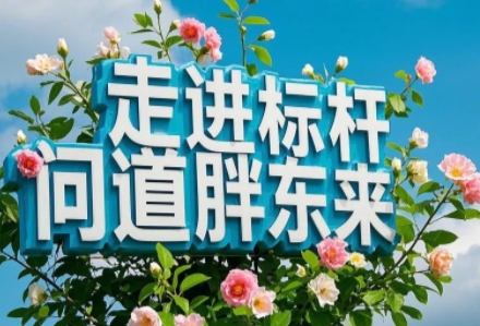 2025年标杆胖东来游学班介绍