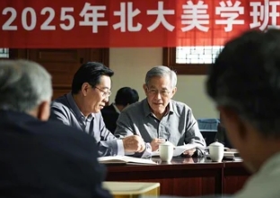 2025 年美学与修养课程纲要内容