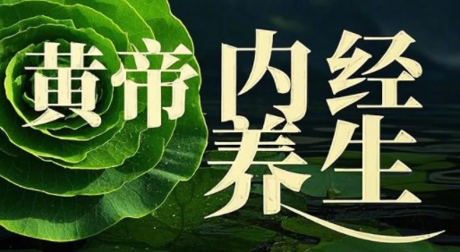2025年黄帝内经养生讲解课程哪家好？