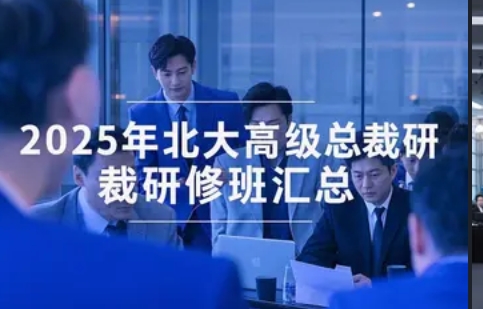 2025年北大CEO研修班汇总