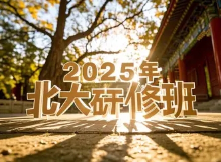 2025年北大研修班各班录取条件分类解读