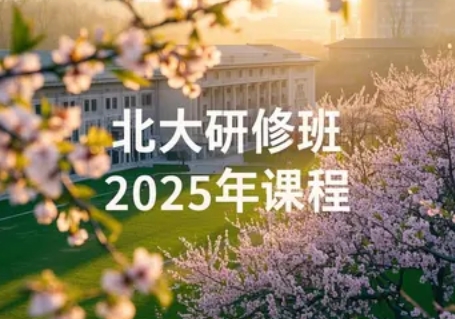 2025年北大企业总裁培训