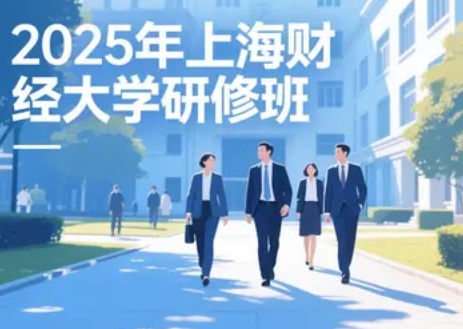 2025 年上海财经大学在职研修班有什么课程可选？