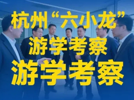 2025年科技引领未来-杭州“六小龙”游学考察项目推荐（四大亮点解析）