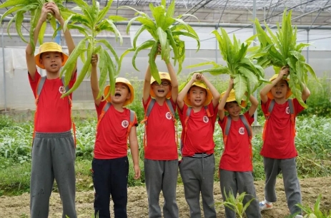 儿童中医药夏令营培训有什么好处？