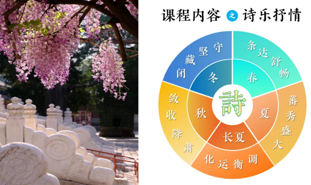 2025 年夏令营去国子监干嘛