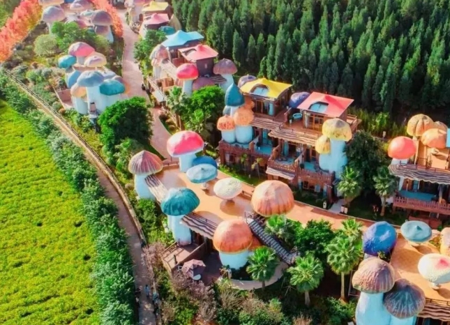 微信截图_20250625210122.png