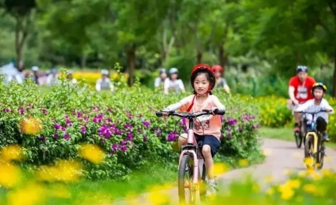 微信截图_20250625211017.png