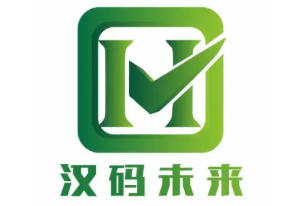 2025年汉码未来师资怎么样