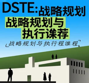 2025年DSTE战略能学到什么